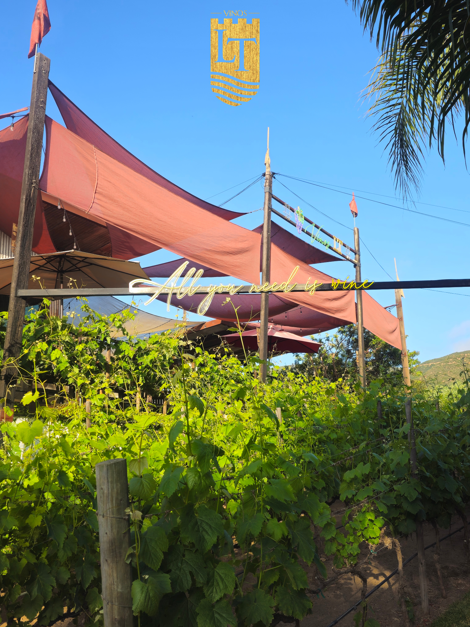 Vinos premiados